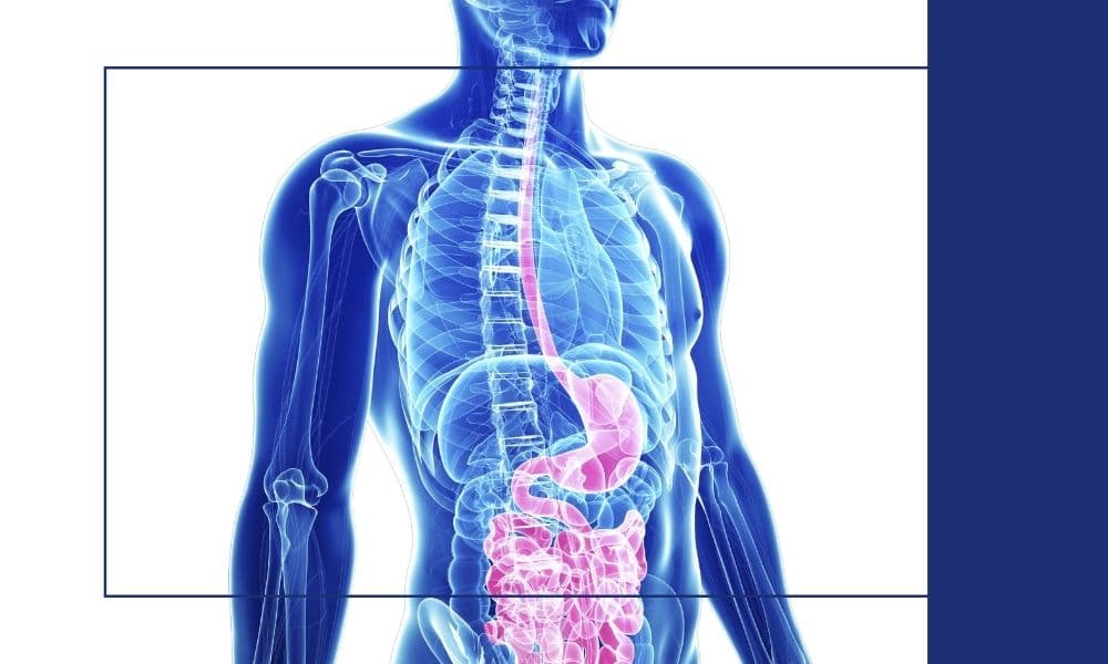 Zdrowe Jelita = Zdrowe Ciało i Piękna Cera